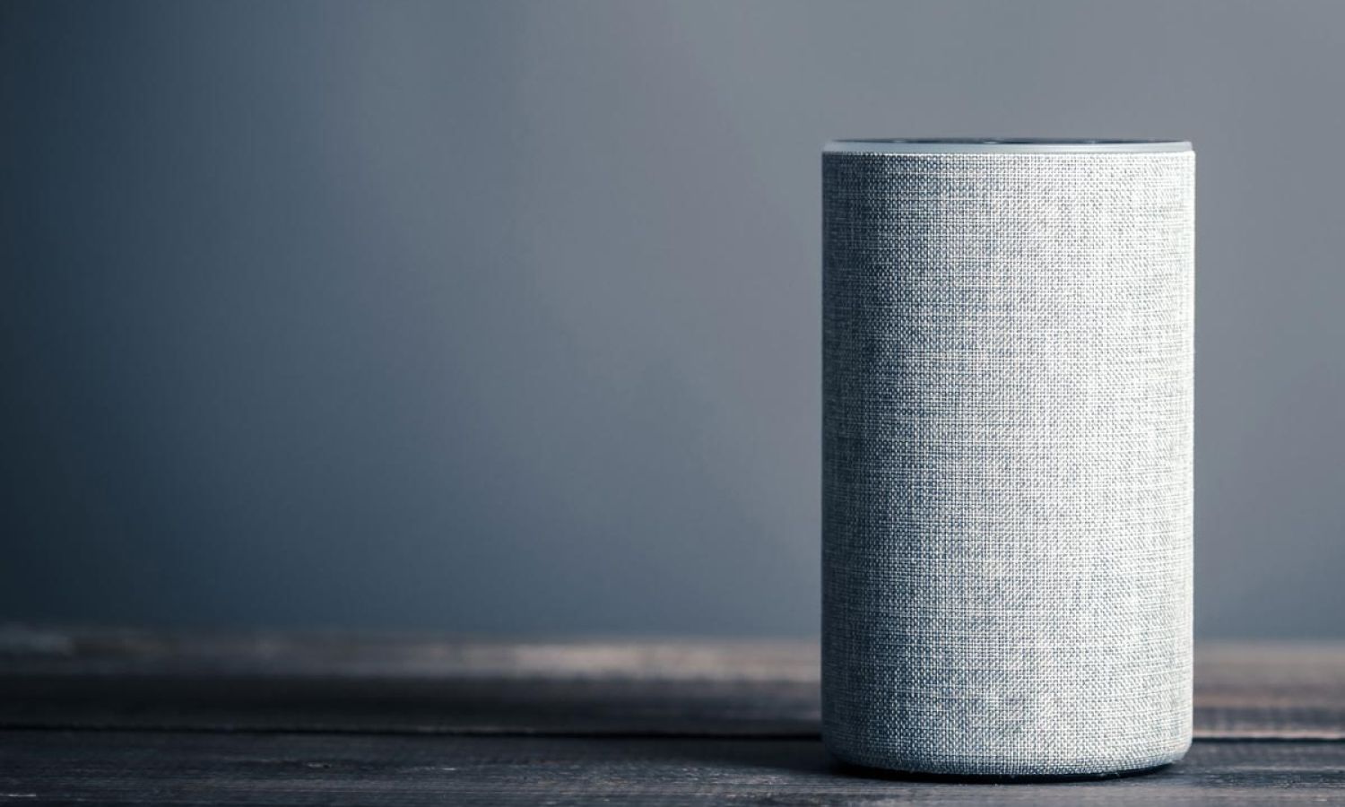 Control4, Voice Control